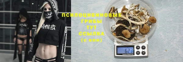 прущая мука Зерноград