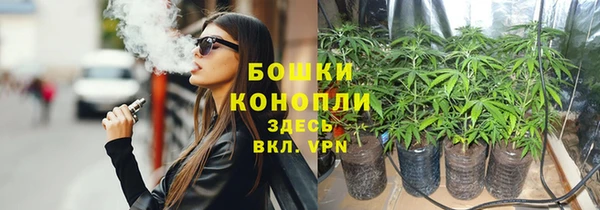 ПСИЛОЦИБИНОВЫЕ ГРИБЫ Зеленодольск