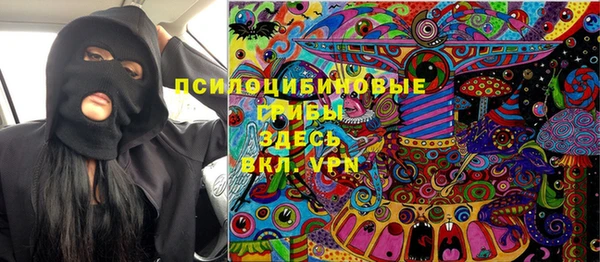 ПСИЛОЦИБИНОВЫЕ ГРИБЫ Зеленодольск
