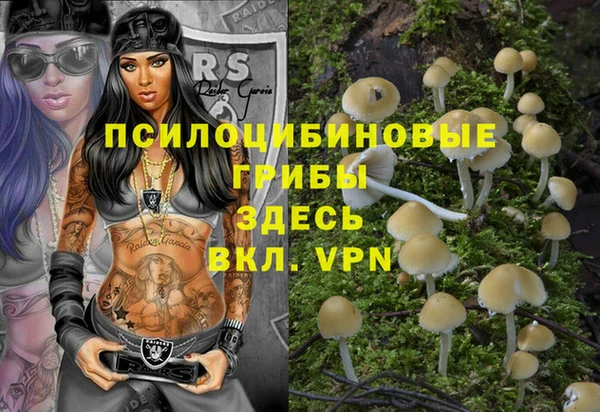 MDMA Premium VHQ Зеленокумск