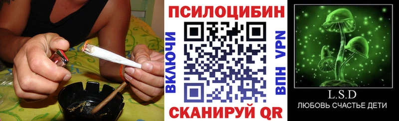 Купить где  Свободный  Галлюциногенные грибы GOLDEN TEACHER 